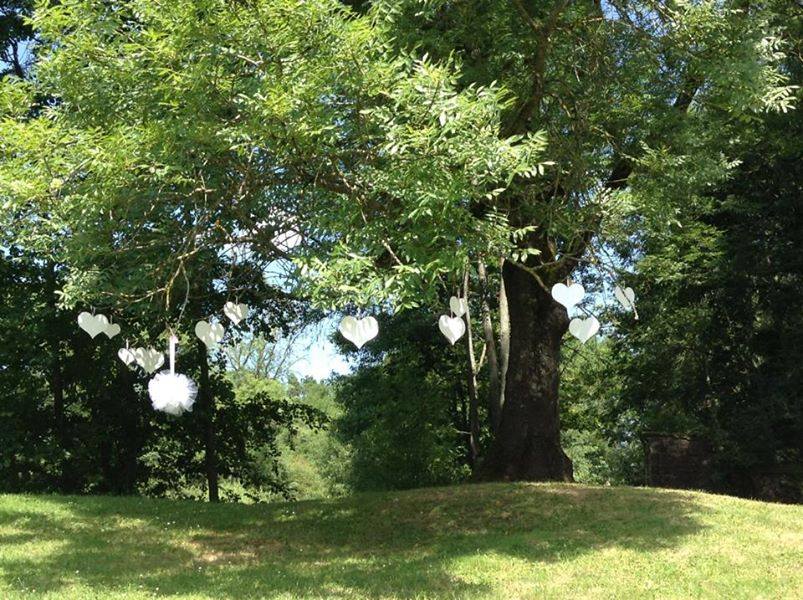 Mariage de Clémence et Romain