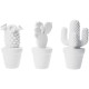 Cactus blanc design