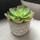 Pot pastel